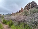 photo thumbnail #3