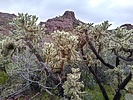 photo thumbnail #9