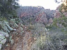 photo thumbnail #7