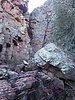 photo thumbnail #8
