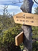 photo thumbnail #14