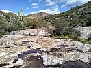 photo thumbnail #9