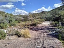 photo thumbnail #12