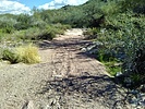 photo thumbnail #13