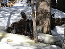 photo thumbnail #2