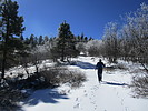 photo thumbnail #5