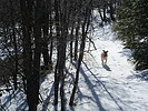 photo thumbnail #8
