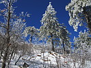 photo thumbnail #7