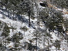 photo thumbnail #10