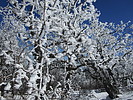 photo thumbnail #12