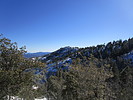 photo thumbnail #14