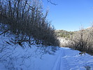photo thumbnail #15