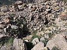 photo thumbnail #11