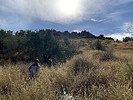 photo thumbnail #1