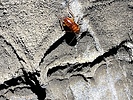 photo thumbnail #14