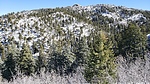 recent photo
