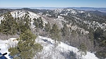 recent photo