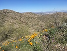 photo thumbnail #5