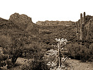 photo thumbnail #14