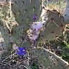 photo thumbnail #4