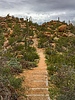 photo thumbnail #13
