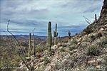 photo thumbnail #3