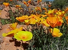 photo thumbnail #10