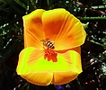 photo thumbnail #15