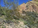 photo thumbnail #13