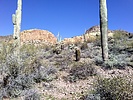 photo thumbnail #12