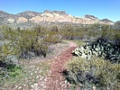 photo thumbnail #11