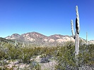photo thumbnail #10