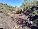 photo thumbnail #7