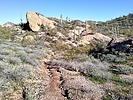 photo thumbnail #6