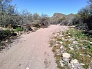 photo thumbnail #11