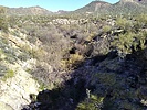 photo thumbnail #10