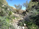 photo thumbnail #7