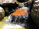 photo thumbnail #11