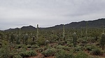 photo thumbnail #5