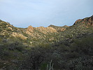 photo thumbnail #1