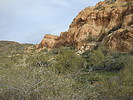 photo thumbnail #5