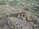 photo thumbnail #6