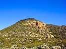 2019-02-08 :1: Black Mesa Loop - Superstition Mtns :: kingsnake