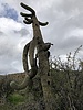 photo thumbnail #5