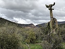 photo thumbnail #6