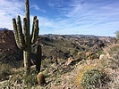 photo thumbnail #6