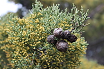photo thumbnail #6