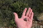 photo thumbnail #11