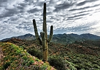photo thumbnail #1