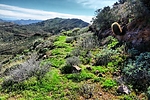 photo thumbnail #3